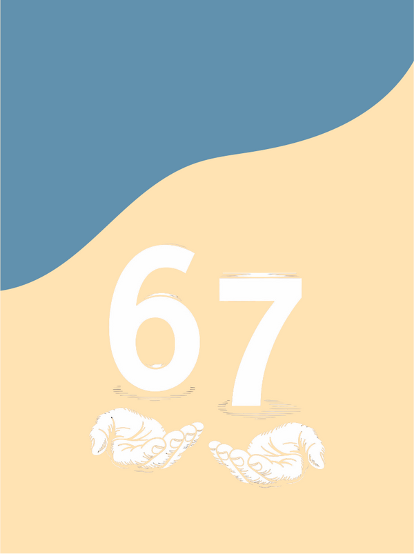 Six Seven