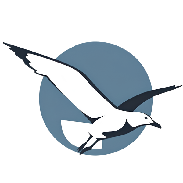 Larus Argentatus